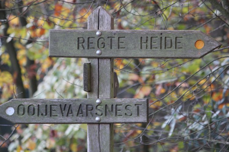 Fietsen of wandelen in de mooie natuur