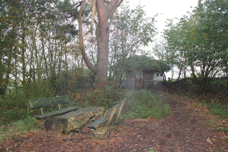 Fietsen of wandelen in de mooie natuur