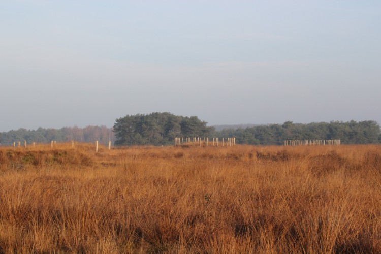 Fietsen of wandelen in de mooie natuur