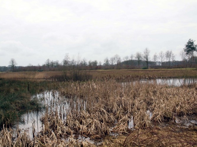 Fietsen of wandelen in de mooie natuur