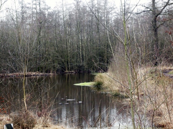 Fietsen of wandelen in de mooie natuur