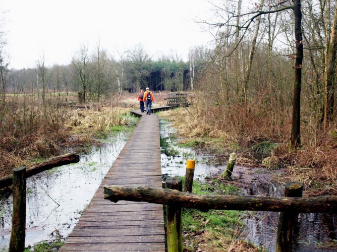 Fietsen of wandelen in de mooie natuur