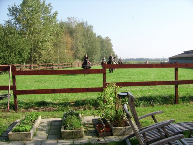 Met uw paard op vakantie