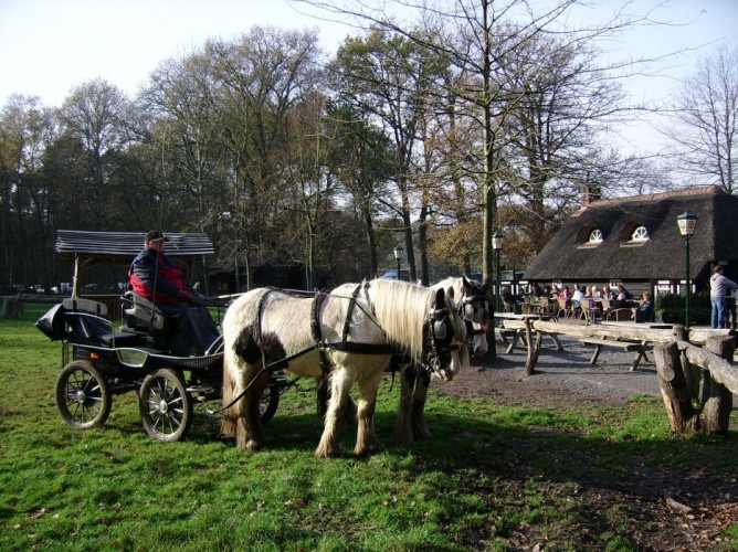 Met uw paard op vakantie