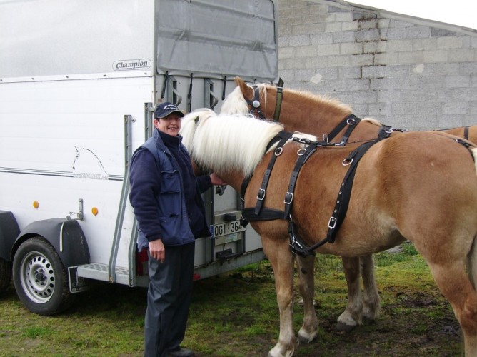 Met uw paard op vakantie