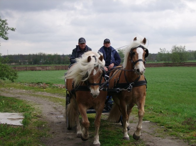 Met uw paard op vakantie