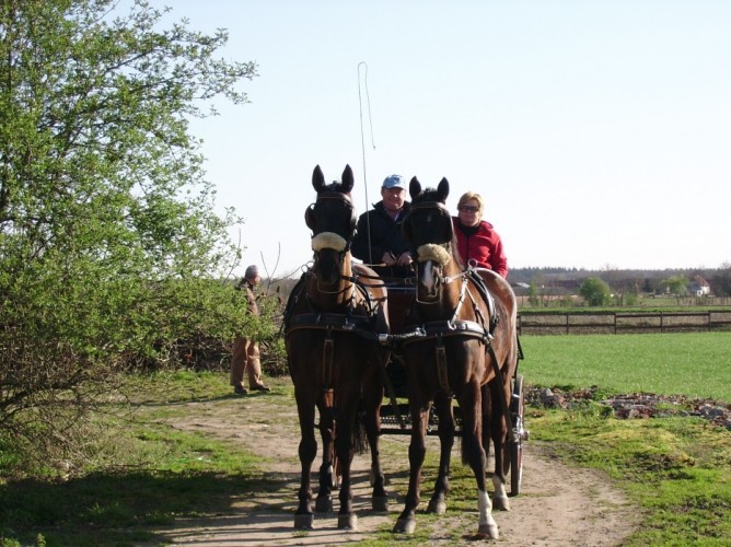 Met uw paard op vakantie