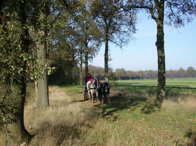 Met uw paard op vakantie