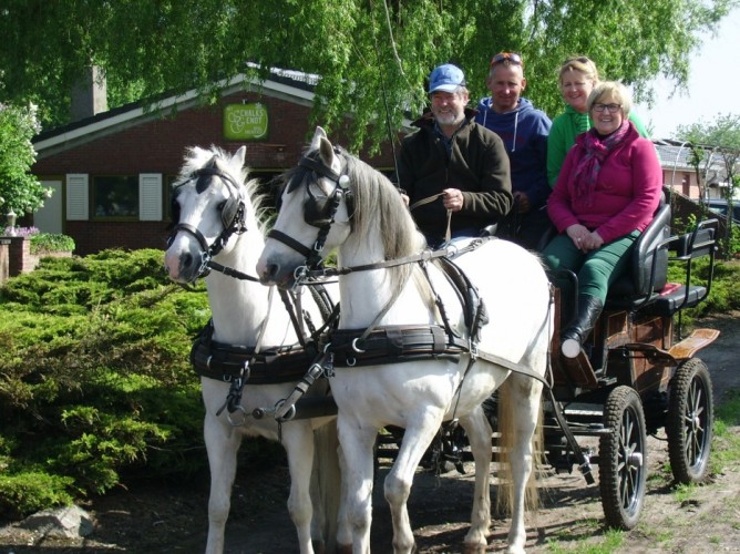 Met uw paard op vakantie