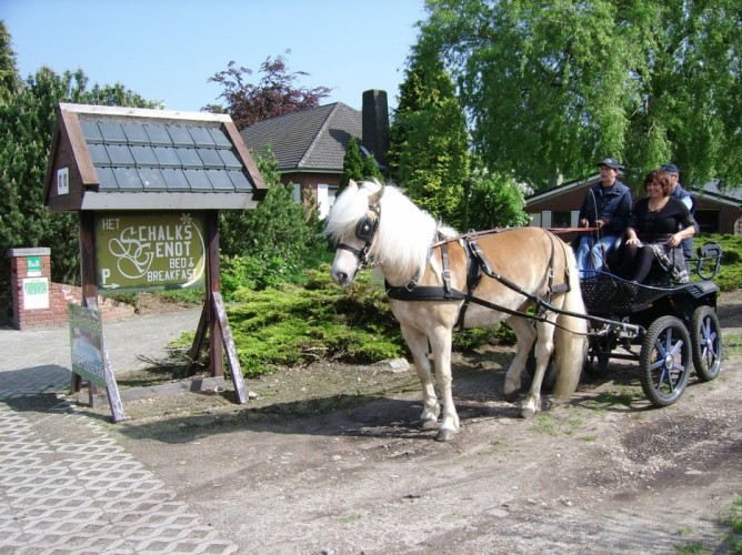 Met uw paard op vakantie